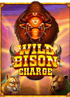 เทคนิคพารวย ทาง เข้า databet63 เล่นง่ายได้เงินไว